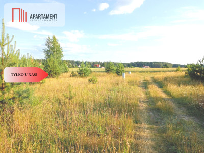 Stronno 1002 m2 w spokojnej cichej okolicy - Stronno  -
Kujawsko-Pomorskie Zdjęcie nr 4