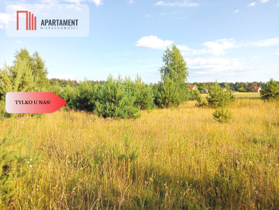 Stronno 1002 m2 w spokojnej cichej okolicy - Stronno  -
Kujawsko-Pomorskie Zdjęcie nr 5