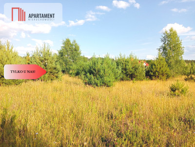 Stronno 1002 m2 w spokojnej cichej okolicy - Stronno  -
Kujawsko-Pomorskie Zdjęcie nr 6