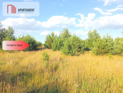 Stronno 1002 m2 w spokojnej cichej okolicy - Stronno  -
Kujawsko-Pomorskie Zdjęcie nr 7