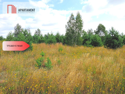 Stronno 1002 m2 w spokojnej cichej okolicy - Stronno  -
Kujawsko-Pomorskie Zdjęcie nr 8