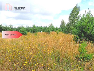 Stronno 1002 m2 w spokojnej cichej okolicy - Stronno  -
Kujawsko-Pomorskie Zdjęcie nr 9