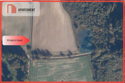 TYLKO U NAS Duża działka blisko lasu - Kiełpin  - Pomorskie