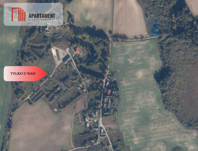 TYLKO U NAS Duża działka blisko lasu - Kiełpin  -
Pomorskie Zdjęcie nr 2