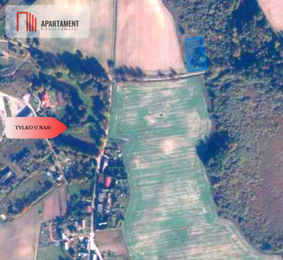 TYLKO U NAS Duża działka blisko lasu - Kiełpin  -
Pomorskie Zdjęcie nr 3