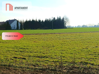 TYLKO U NAS - WŁÓKI 07HA SUPER LOKALIZACJA - Włóki  -
Kujawsko-Pomorskie Zdjęcie nr 2