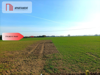 TYLKO U NAS - WŁÓKI 07HA SUPER LOKALIZACJA - Włóki  -
Kujawsko-Pomorskie Zdjęcie nr 4
