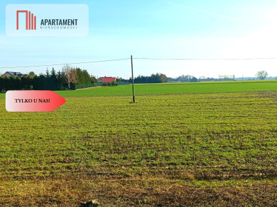 TYLKO U NAS - WŁÓKI 07HA SUPER LOKALIZACJA - Włóki  -
Kujawsko-Pomorskie Zdjęcie nr 8