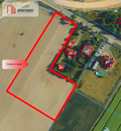 TYLKO U NAS - WŁÓKI 07HA SUPER LOKALIZACJA - Włóki  -
Kujawsko-Pomorskie Zdjęcie nr 9