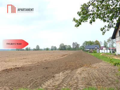 Działki z WZ w Dolinie Baryczy - Wziąchowo Wielkie  -
Dolnośląskie Zdjęcie nr 4