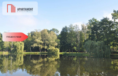 Działki z WZ w Dolinie Baryczy - Wziąchowo Wielkie  -
Dolnośląskie Zdjęcie nr 5