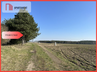 Z miasta na wieś Idealne miejsce do zamieszkania - Boruchowo  -
Wielkopolskie Zdjęcie nr 6