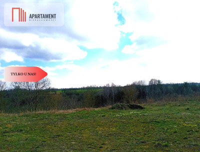 Działka budowlana w wyjątkowo  malowniczej okolicy - Ujście  -
Wielkopolskie Zdjęcie nr 13