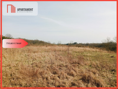 Działka budowlana w wyjątkowo  malowniczej okolicy - Ujście  - Wielkopolskie