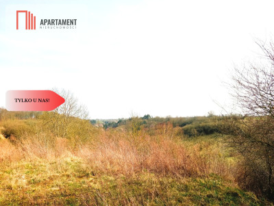 Działka budowlana w wyjątkowo  malowniczej okolicy - Ujście  -
Wielkopolskie Zdjęcie nr 2