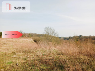 Działka budowlana w wyjątkowo  malowniczej okolicy - Ujście  -
Wielkopolskie Zdjęcie nr 3