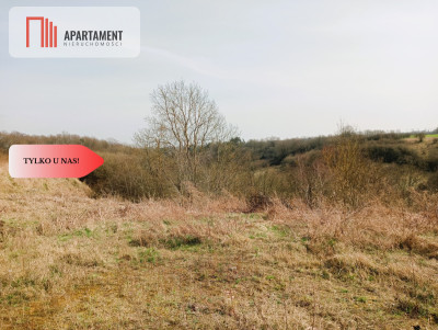 Działka budowlana w wyjątkowo  malowniczej okolicy - Ujście  -
Wielkopolskie Zdjęcie nr 4