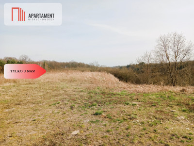 Działka budowlana w wyjątkowo  malowniczej okolicy - Ujście  -
Wielkopolskie Zdjęcie nr 6