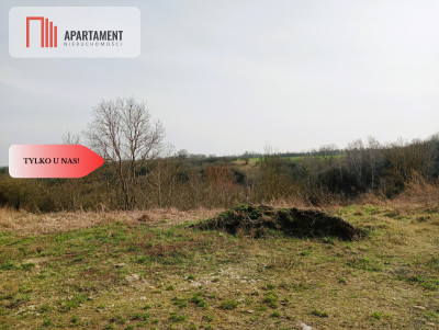 Działka budowlana w wyjątkowo  malowniczej okolicy - Ujście  -
Wielkopolskie Zdjęcie nr 7