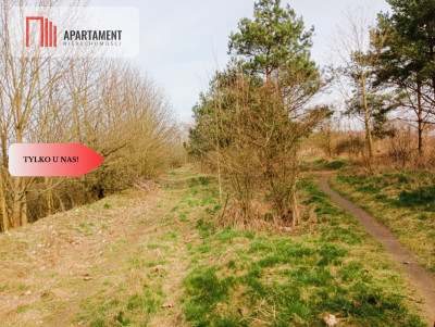 Działka budowlana w wyjątkowo  malowniczej okolicy - Ujście  -
Wielkopolskie Zdjęcie nr 9