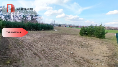 Tylko u nas Działka nad jeziorem - Sobącz  -
Pomorskie Zdjęcie nr 10