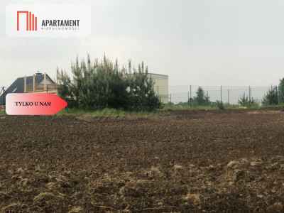 Tylko u nas Działka nad jeziorem - Sobącz  -
Pomorskie Zdjęcie nr 12