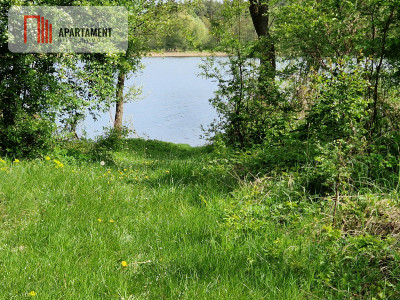 Działki z linią brzegową jeziora bez sąsiedztwa - Wiewiórczyn  -
Kujawsko-Pomorskie Zdjęcie nr 2