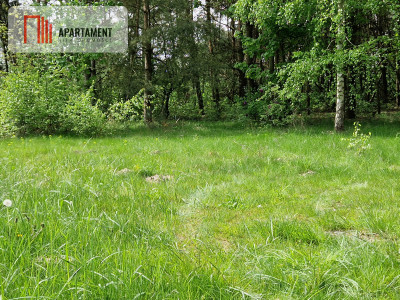 Działki z linią brzegową jeziora bez sąsiedztwa - Wiewiórczyn  -
Kujawsko-Pomorskie Zdjęcie nr 3