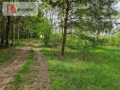 Działki z linią brzegową jeziora bez sąsiedztwa - Wiewiórczyn  -
Kujawsko-Pomorskie Zdjęcie nr 5