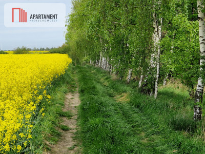 Działki z linią brzegową jeziora bez sąsiedztwa - Wiewiórczyn  -
Kujawsko-Pomorskie Zdjęcie nr 7