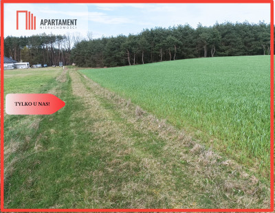 TYLKO U NAS  PIĘKNA OTOCZONA BORAMI DZIAŁKA  - Radańska  - Kujawsko-Pomorskie