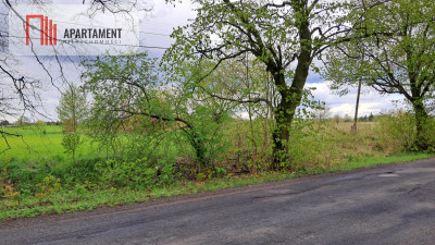 Unikalna Działka Budowlana w Skarszewach - Skarszewy  -
Pomorskie Zdjęcie nr 10