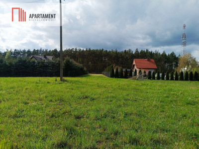 DUŻA DZIAŁKA W DĄBROWIE CHEŁMIŃSKIEJ - Dąbrowa Chełmińska  -
Kujawsko-Pomorskie Zdjęcie nr 2