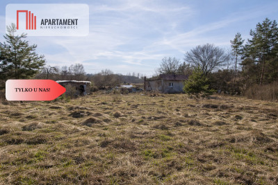 Teren pod inwestycje przy węźle A1 i S5 - Nowe Marzy  -
Kujawsko-Pomorskie Zdjęcie nr 4