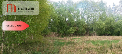 Teren pod inwestycje przy węźle A1 i S5 - Nowe Marzy  -
Kujawsko-Pomorskie Zdjęcie nr 8