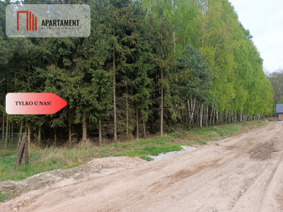 DWIE DZIAŁKI OBOK SIEBIE POD ZABUDOWĘ  - Dąbrowa Chełmińska  -
Kujawsko-Pomorskie Zdjęcie nr 3