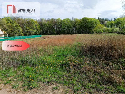 DWIE DZIAŁKI OBOK SIEBIE POD ZABUDOWĘ  - Dąbrowa Chełmińska  -
Kujawsko-Pomorskie Zdjęcie nr 4