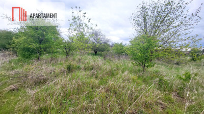 Działka inwestycyjna - MPZP - 4 UMN - Nakło Nad Notecią  -
Kujawsko-Pomorskie Zdjęcie nr 9