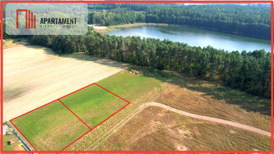 Urokliwe działki nad jeziorem Brzuchowo - Płocicz  - Kujawsko-Pomorskie