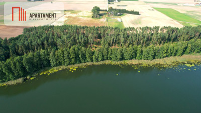 Urokliwe działki nad jeziorem Brzuchowo - Płocicz  -
Kujawsko-Pomorskie Zdjęcie nr 3