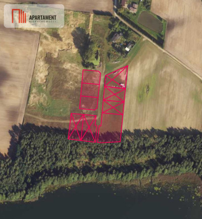 Urokliwe działki nad jeziorem Brzuchowo - Płocicz  -
Kujawsko-Pomorskie Zdjęcie nr 6