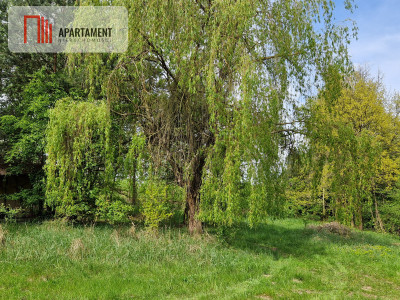 Niezwykłe działki przy jeziorze - Wiewiórczyn  -
Kujawsko-Pomorskie Zdjęcie nr 5