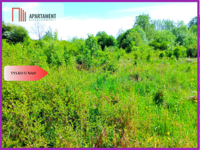 Piękna działka 150 m od Brdy - Samociążek  - Kujawsko-Pomorskie