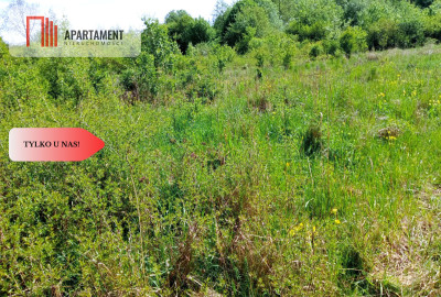 Piękna działka 150 m od Brdy - Samociążek  -
Kujawsko-Pomorskie Zdjęcie nr 3