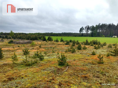 Dziesięć działek na twój wymarzony dom - Gostomko  -
Pomorskie Zdjęcie nr 6