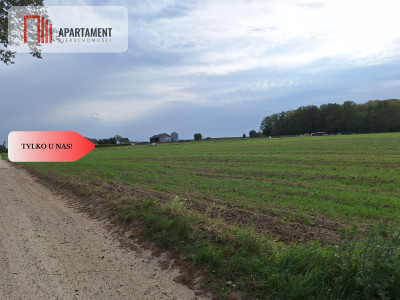 Działka pod inwestycję Blisko drogi 3 - Sucha Górna  - Dolnośląskie