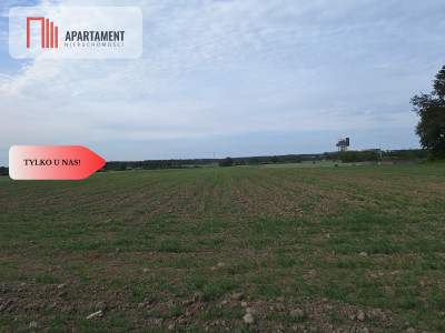 Działka pod inwestycję Blisko drogi 3 - Sucha Górna  -
Dolnośląskie Zdjęcie nr 3