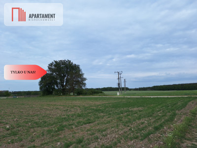 Działka pod inwestycję Blisko drogi 3 - Sucha Górna  -
Dolnośląskie Zdjęcie nr 5