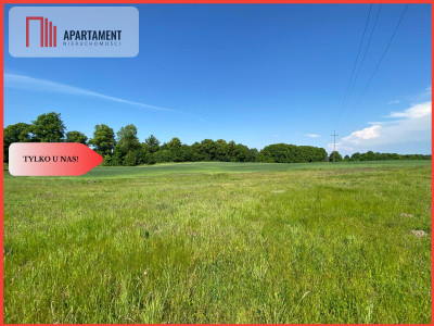 Działki z warunkami zabudowy Tylko u nas - Górne Maliki  -
Pomorskie Zdjęcie nr 3