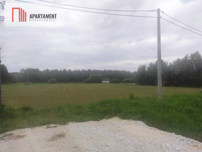 Oferta dla dewelopera - Brzezinki  -
Dolnośląskie Zdjęcie nr 3